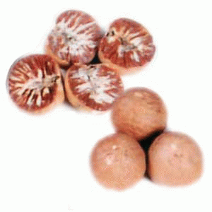 Betelnuts Arecanuts Supari